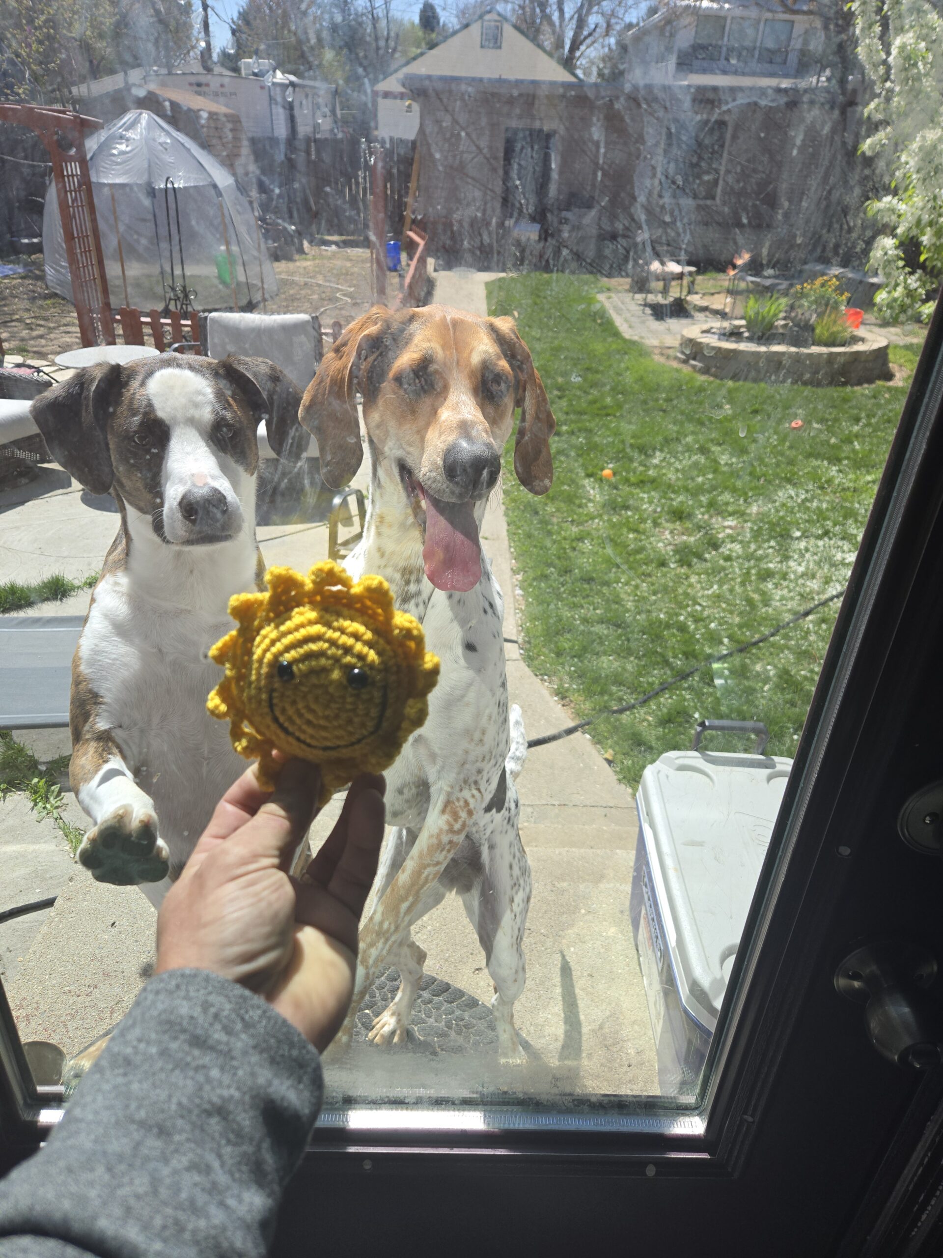 Quality Heating Sun Contest in Boise, ID