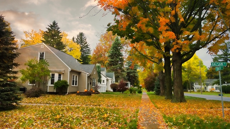 fall maintenance for an American suburb
