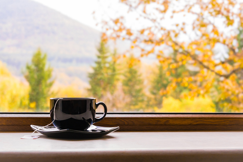 Why Do I Need a Humidifier in the Fall?Cup of tea in front of window with autumn view.