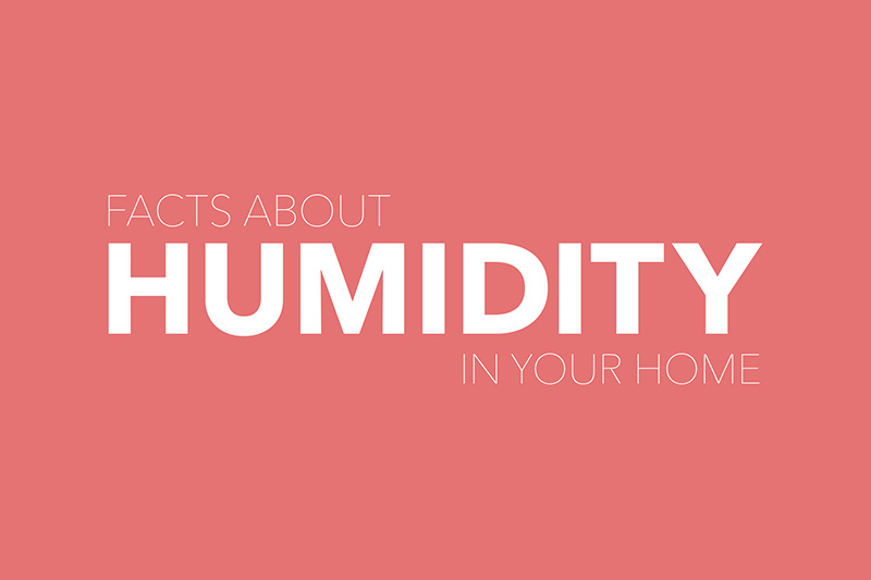 facts about humidity in your home